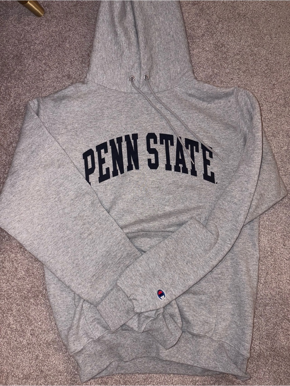 Champion Gray Penn State Crewneck Hoodie